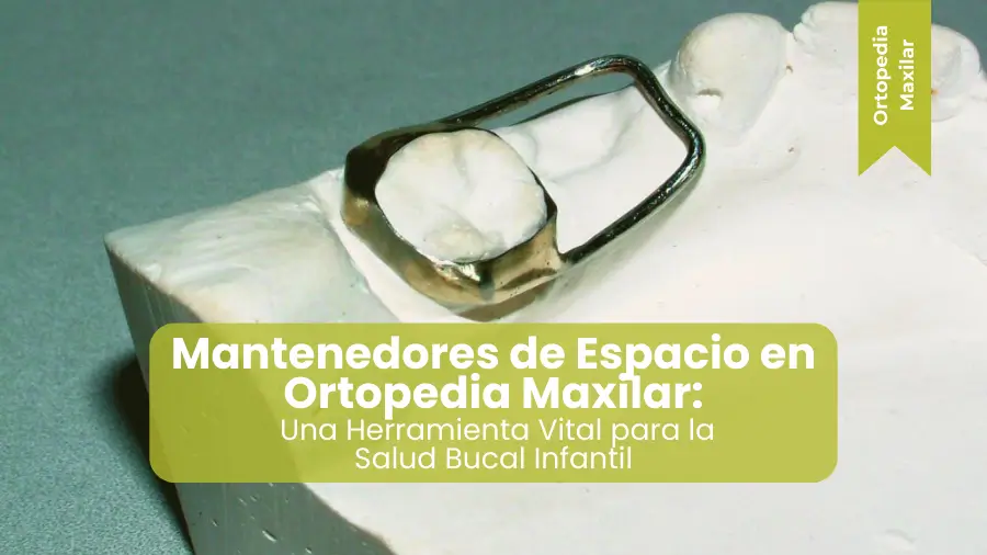 Mantenedores de espacio